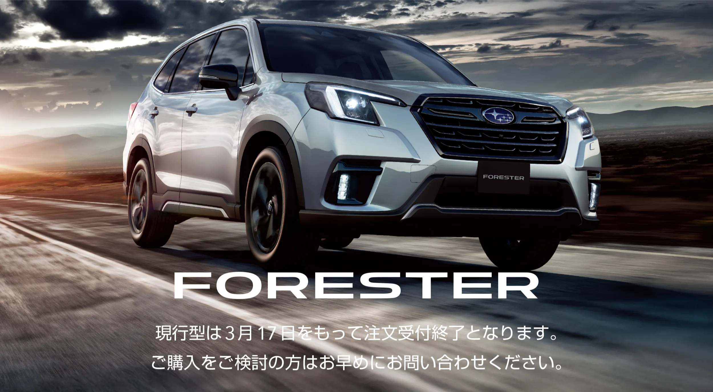 FORESTER